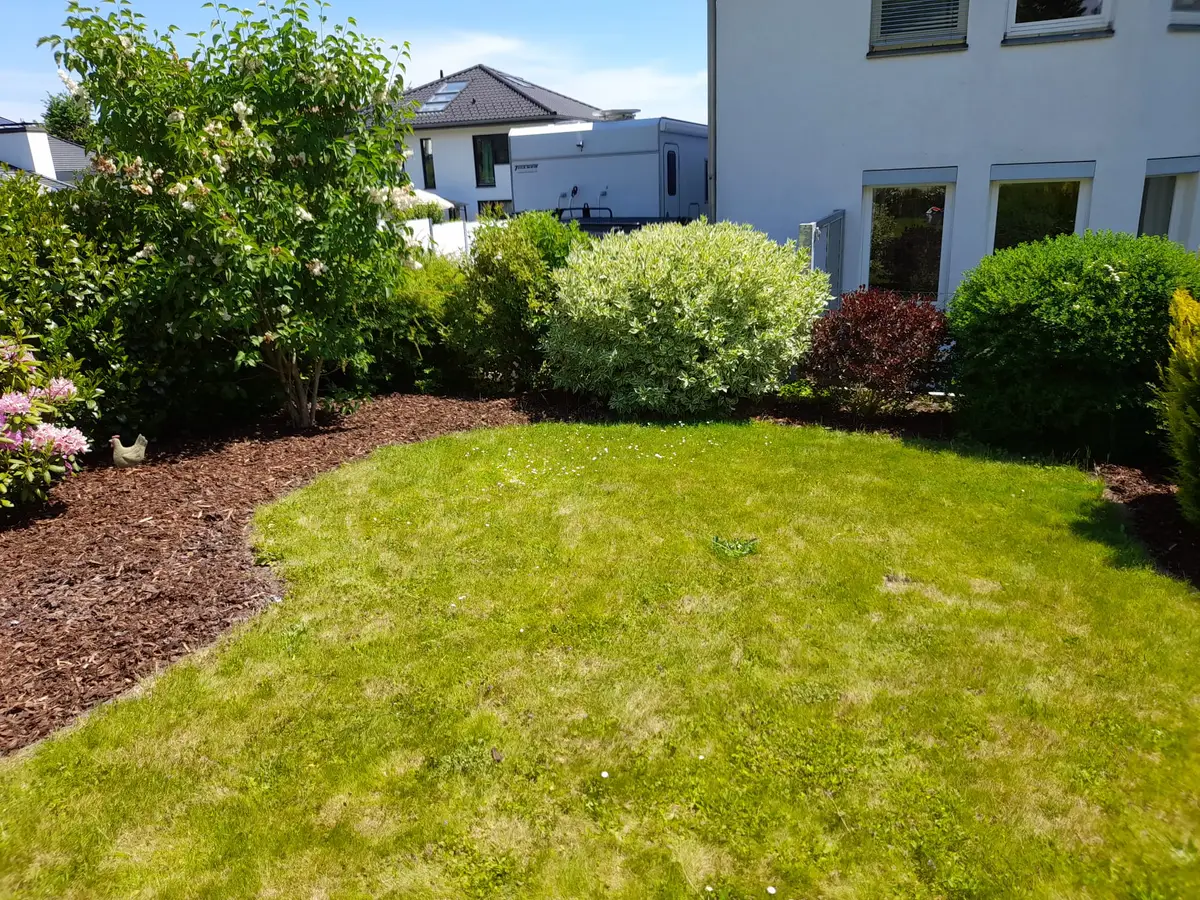 Gepflegter Garten mit Rasen und Beeten